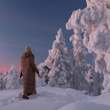 Skyview Igloo Отель 4*