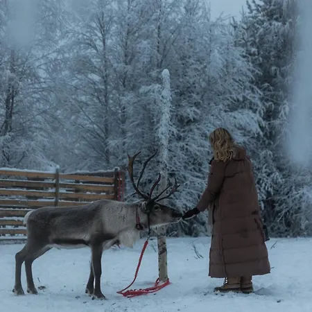 Отель Skyview Igloo 4*